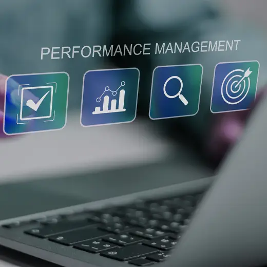 5 pillar Performance Coaching